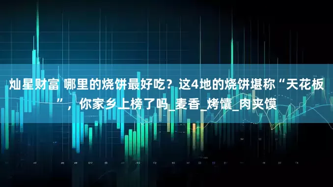 灿星财富 哪里的烧饼最好吃？这4地的烧饼堪称“天花板”，你家乡上榜了吗_麦香_烤馕_肉夹馍
