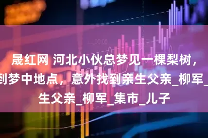 晟红网 河北小伙总梦见一棵梨树，27年后来到梦中地点，意外找到亲生父亲_柳军_集市_儿子